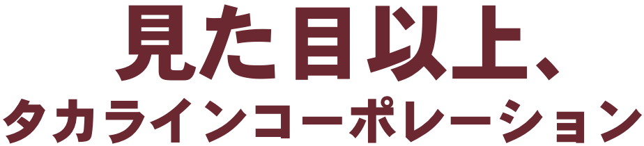 見た目以上、タカラインコーポレーション